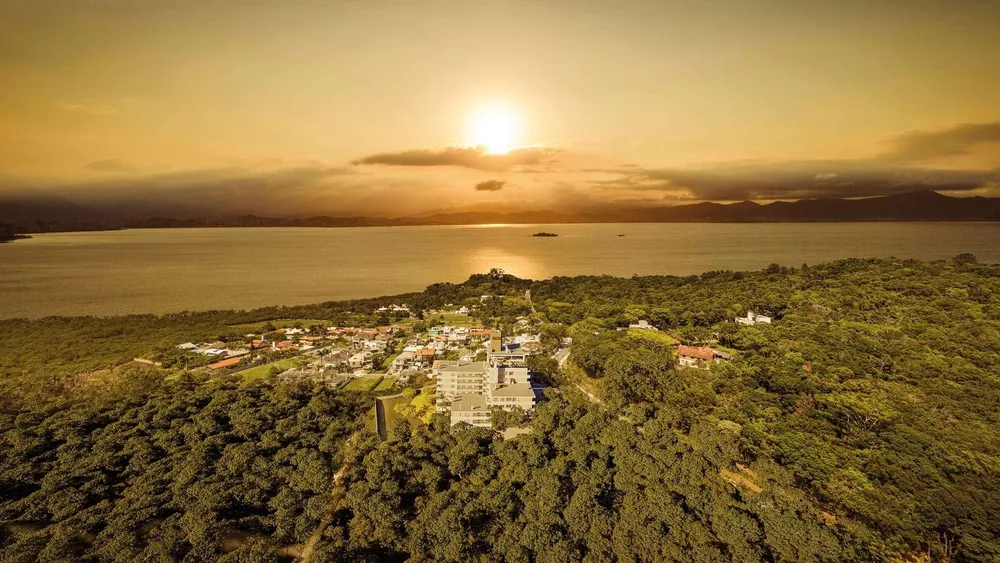 Apartamento - Foto 1