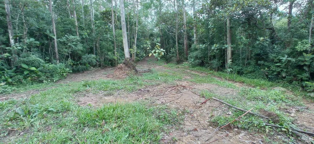 Sítio, 1 quarto, 70 hectares - Foto 10