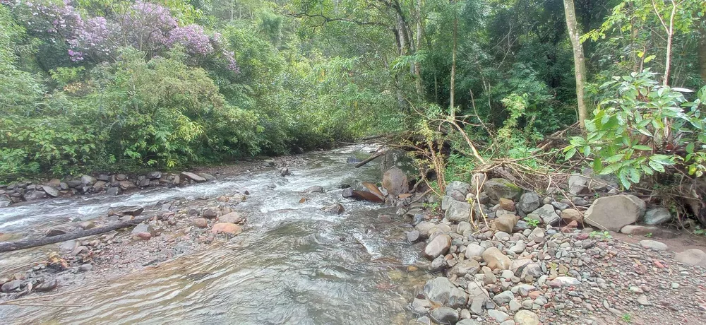 Sítio, 1 quarto, 70 hectares - Foto 1