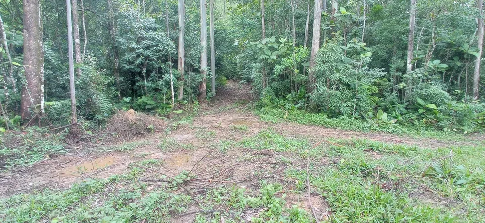 Sítio, 1 quarto, 70 hectares - Foto 4
