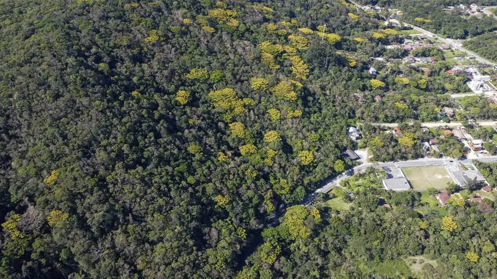 Terreno, 3 hectares - Foto 14