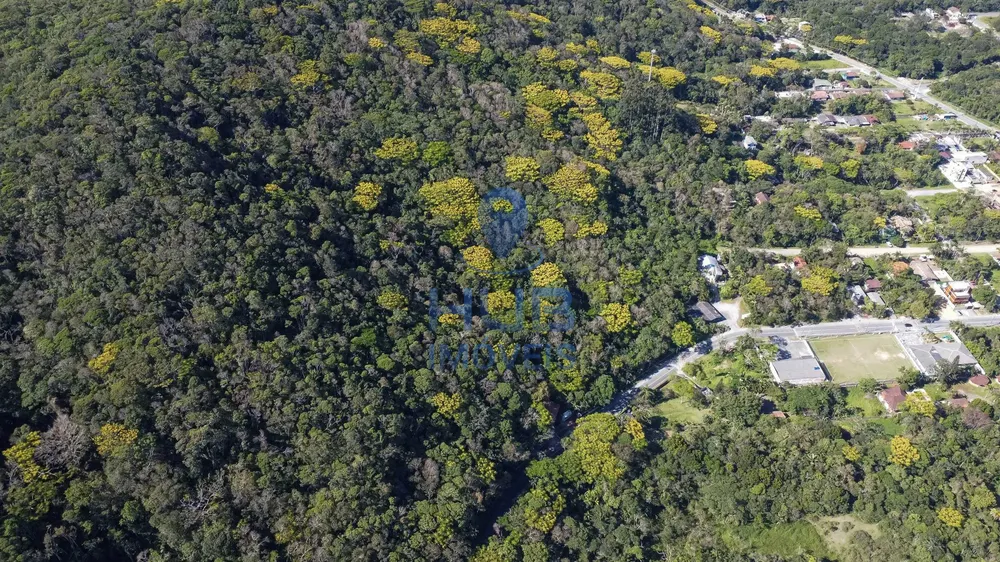 Terreno, 3 hectares - Foto 7