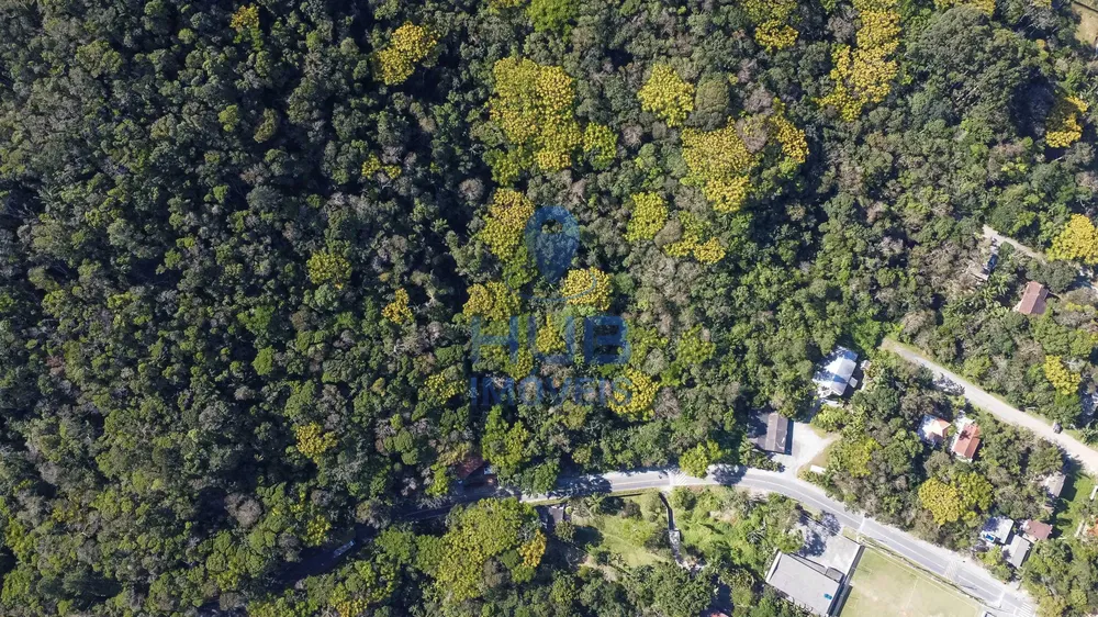 Terreno, 3 hectares - Foto 8