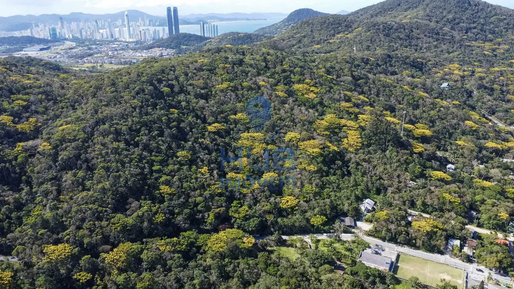 Terreno, 3 hectares - Foto 6