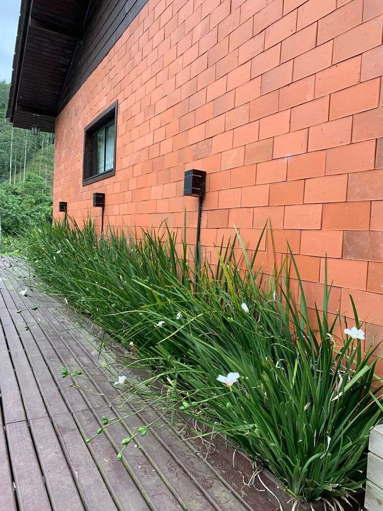Chácara à venda com 3 quartos - Foto 6