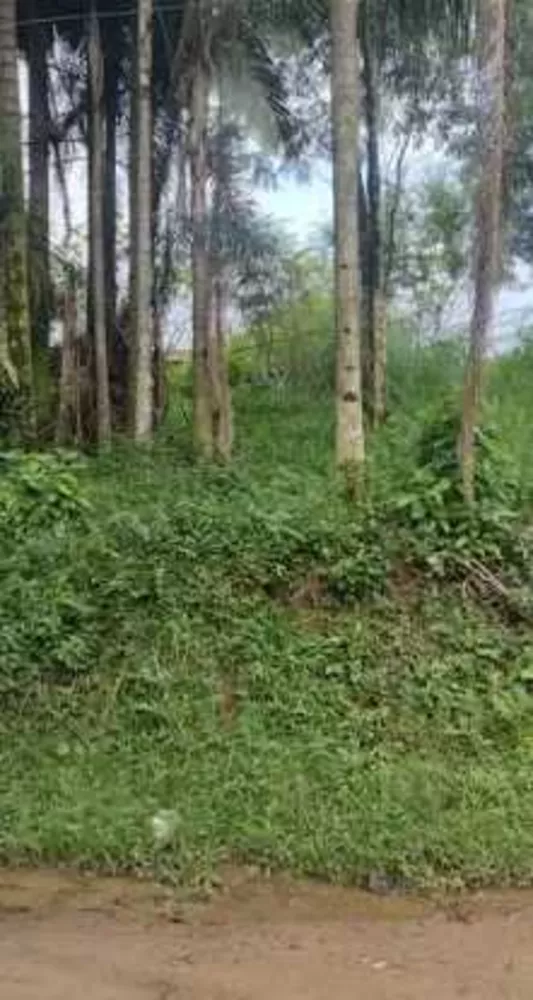 Terreno, 716 m² - Foto 2