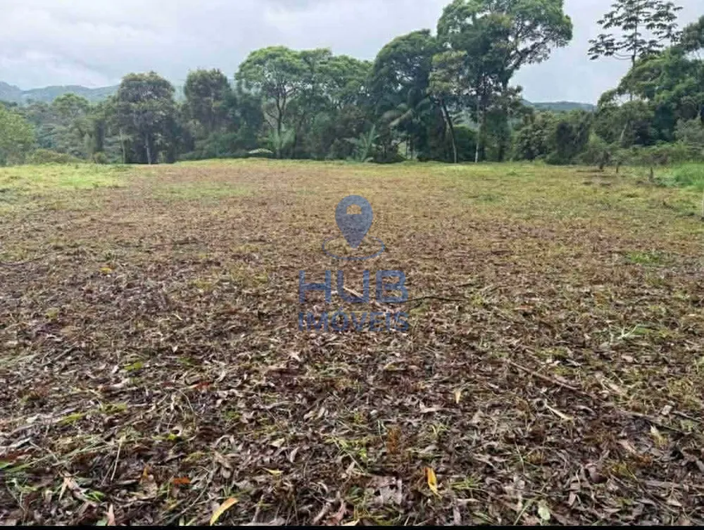 Sítio, 1 quarto, 4000 m² - Foto 3