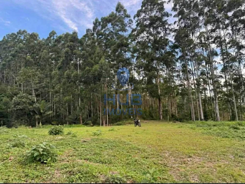 Sítio, 1 quarto, 4000 m² - Foto 8