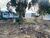 Terreno, 1558 m² - Foto 4