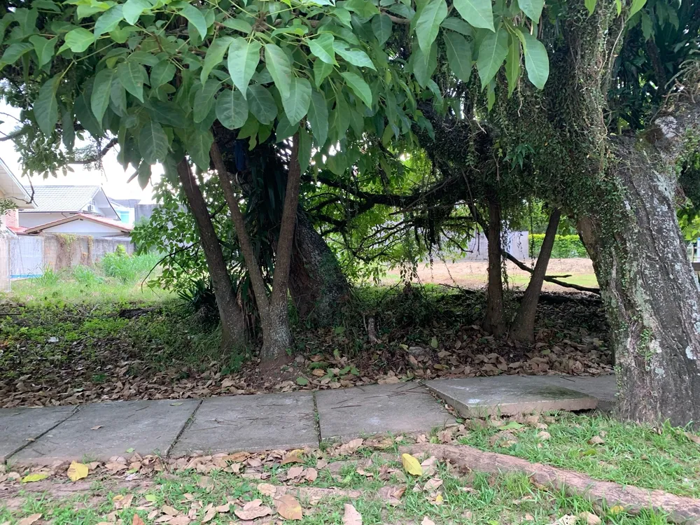 Terreno, 450 m² - Foto 11