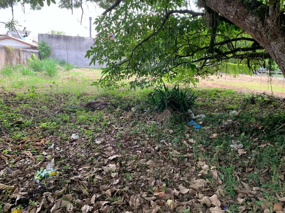 Terreno, 450 m² - Foto 1