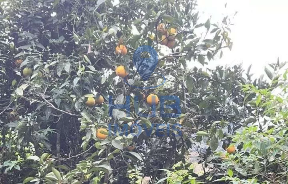 Sítio, 2 quartos, 3000 m² - Foto 1