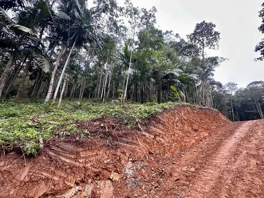 Terreno, 3 hectares - Foto 9