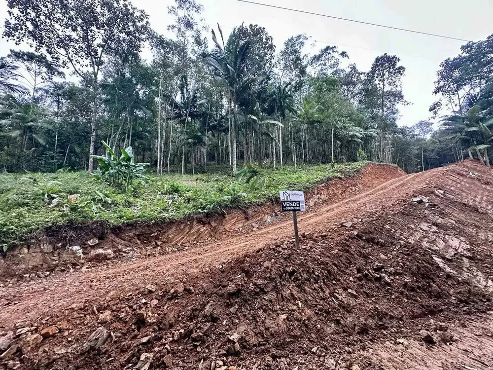 Terreno, 3 hectares - Foto 4