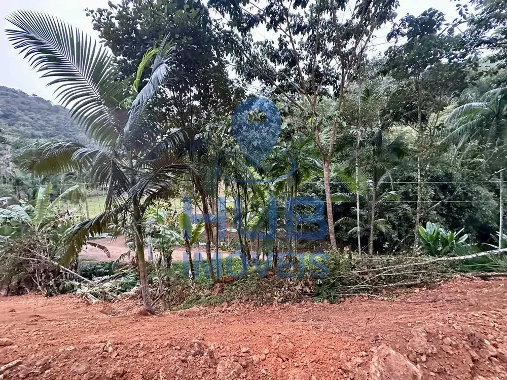 Terreno, 3 hectares - Foto 6