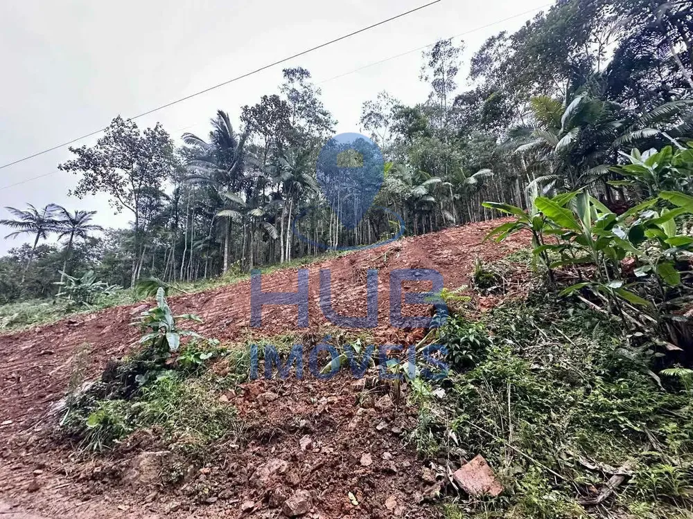 Terreno, 3 hectares - Foto 11