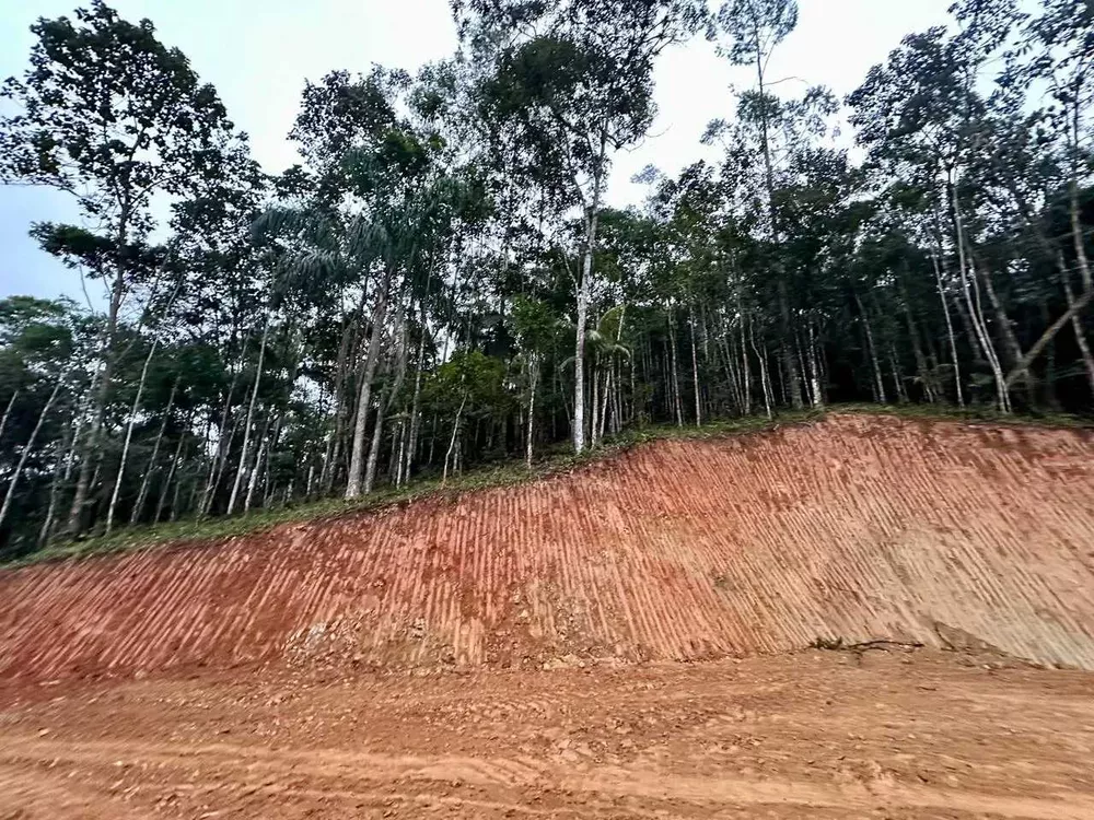 Terreno, 3 hectares - Foto 1