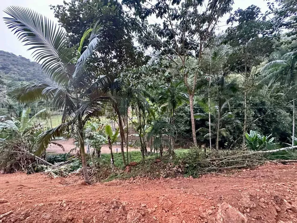 Terreno, 3 hectares - Foto 2