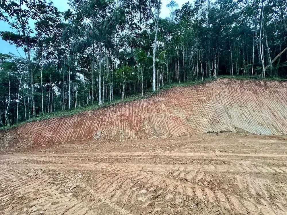 Terreno, 3 hectares - Foto 8