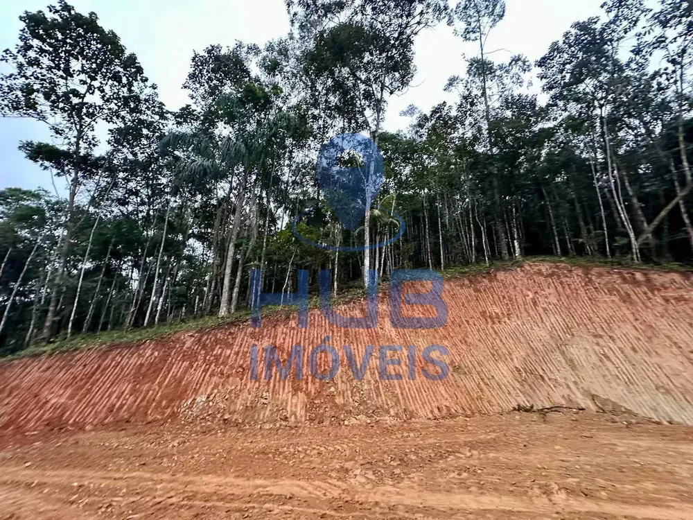 Terreno, 3 hectares - Foto 1
