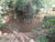Sítio, 3 hectares - Foto 4