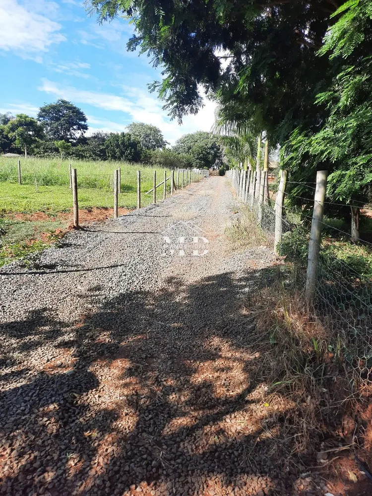 Sítio, 5 hectares - Foto 8