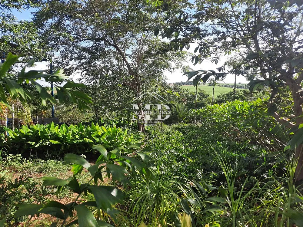 Sítio, 5 hectares - Foto 4