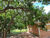 Sítio, 4 quartos, 2 hectares - Foto 11