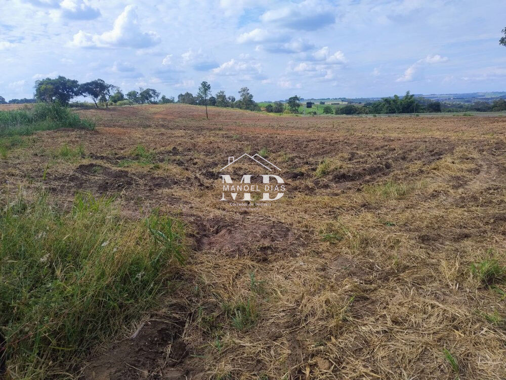 Terreno, 3 hectares - Foto 3