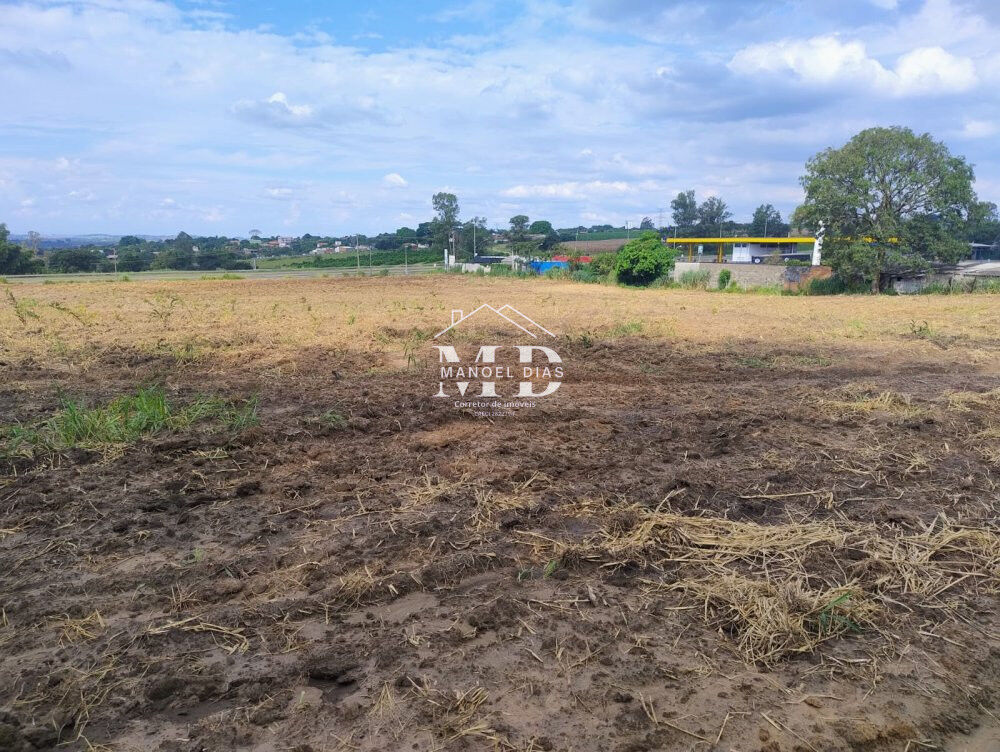 Terreno, 3 hectares - Foto 6