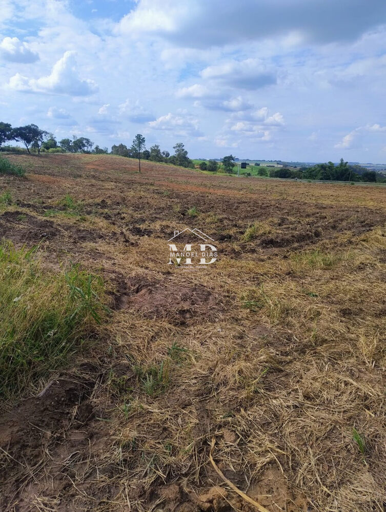 Terreno, 3 hectares - Foto 4