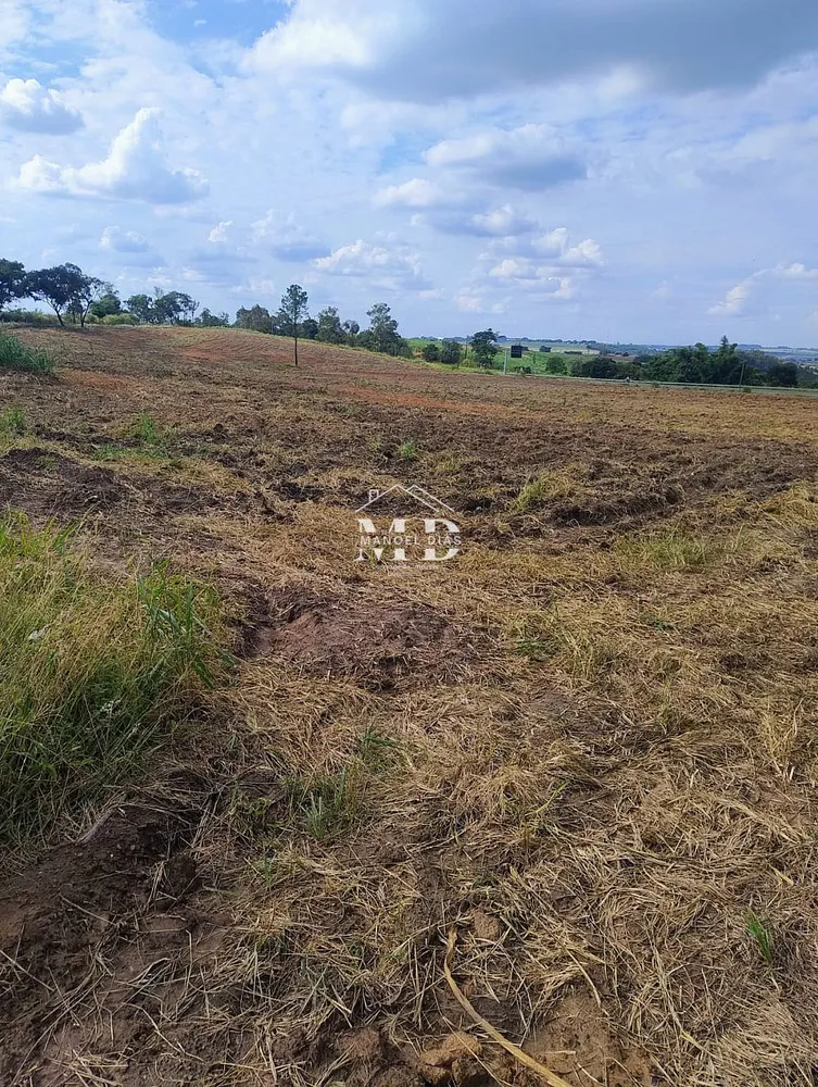 Terreno, 3 hectares - Foto 8