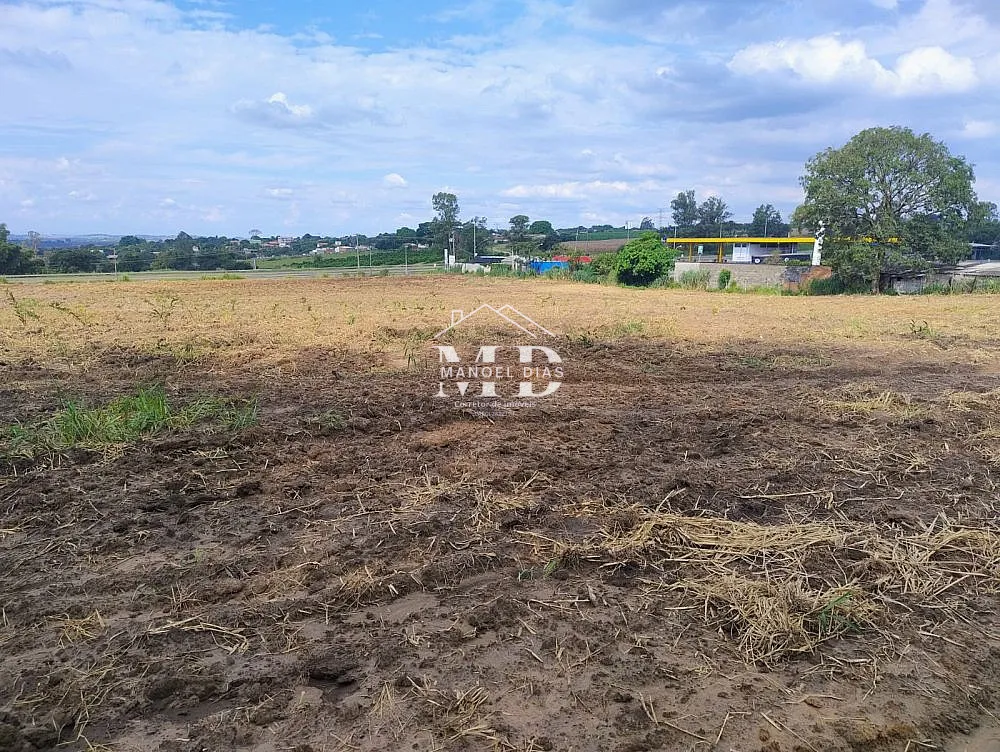 Terreno, 3 hectares - Foto 12