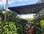 Sítio, 5 hectares - Foto 3