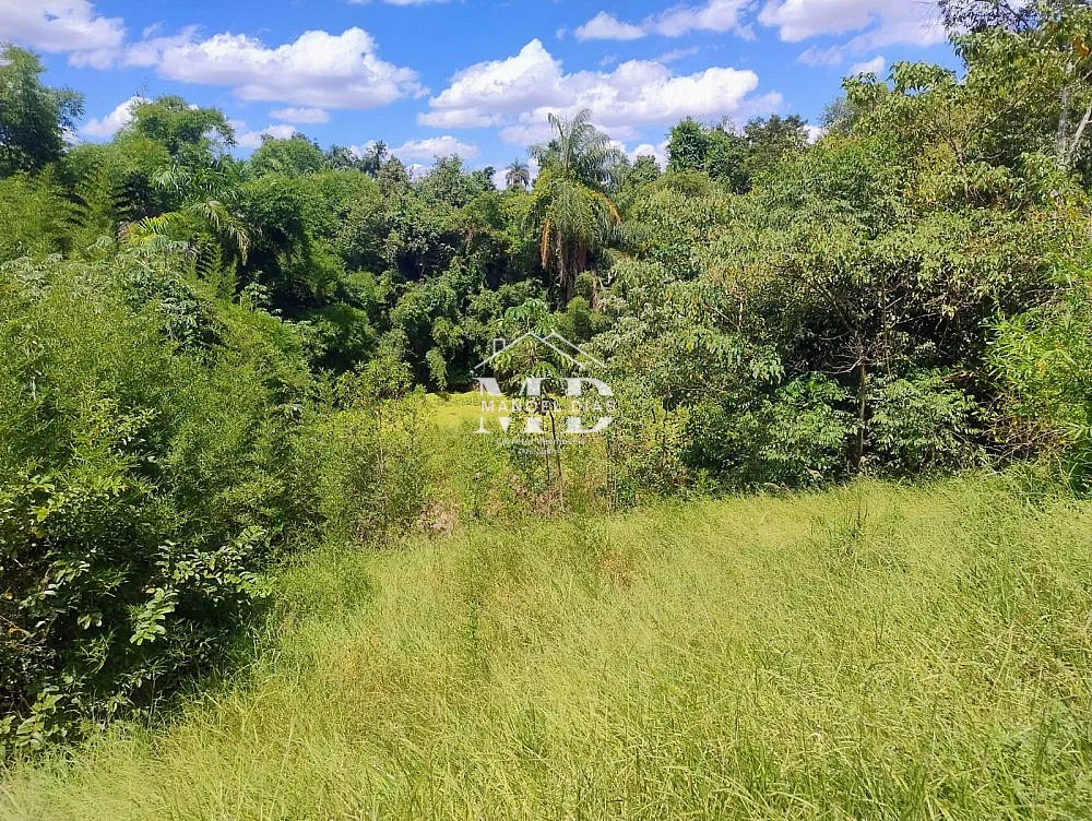Sítio, 2 hectares - Foto 8