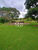 Sítio, 22 hectares - Foto 9