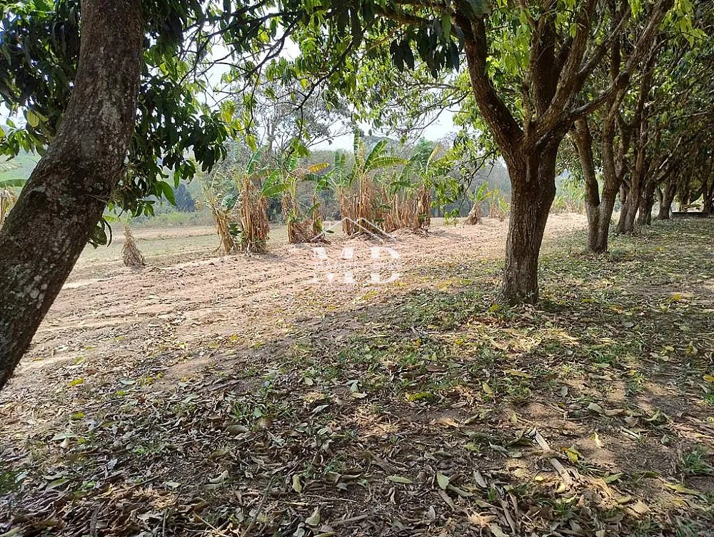 Chácara, 4 quartos, 2 hectares - Foto 28