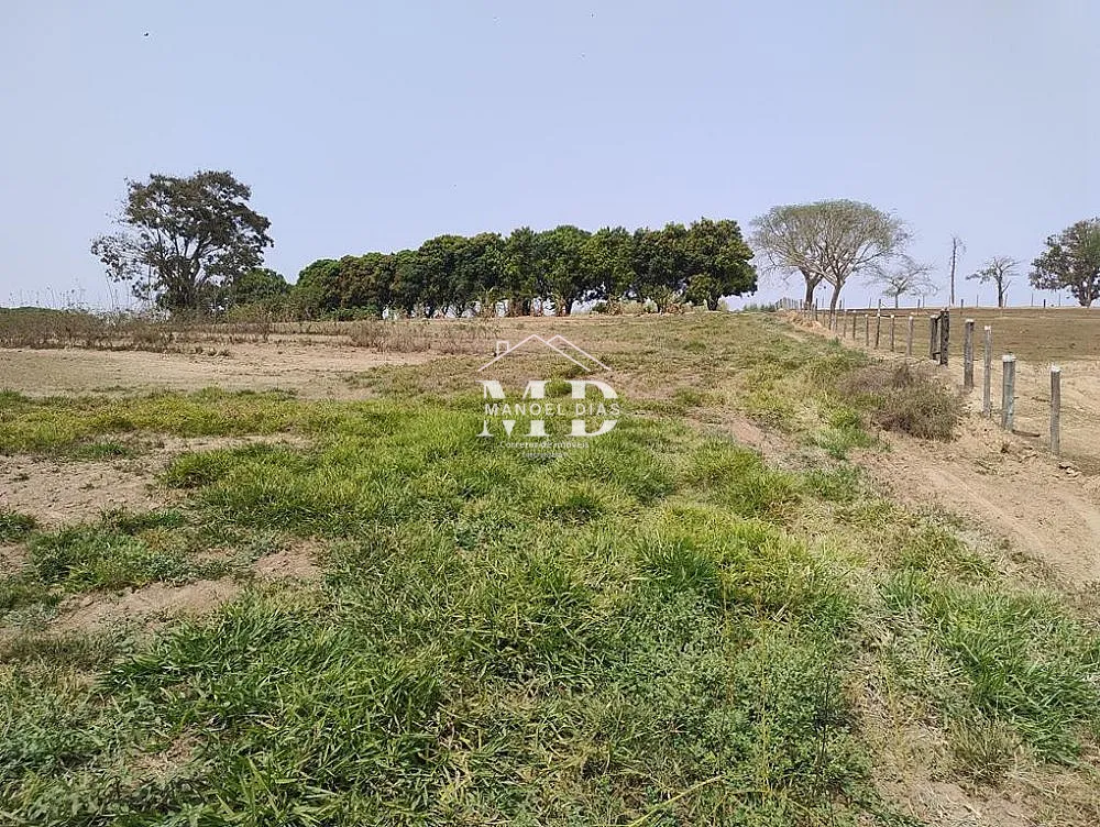 Chácara, 4 quartos, 2 hectares - Foto 18