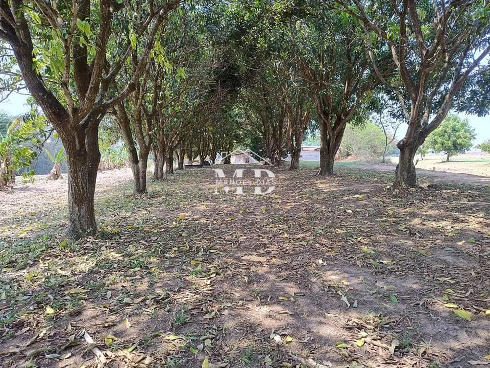 Chácara, 4 quartos, 2 hectares - Foto 13