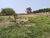 Chácara, 4 quartos, 2 hectares - Foto 3