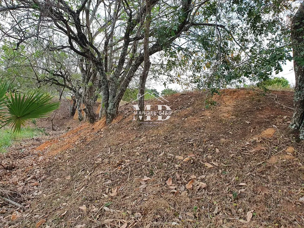 Sítio, 3 hectares - Foto 15