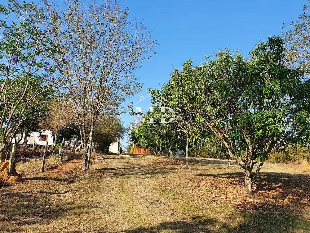 Sítio, 3 hectares - Foto 16