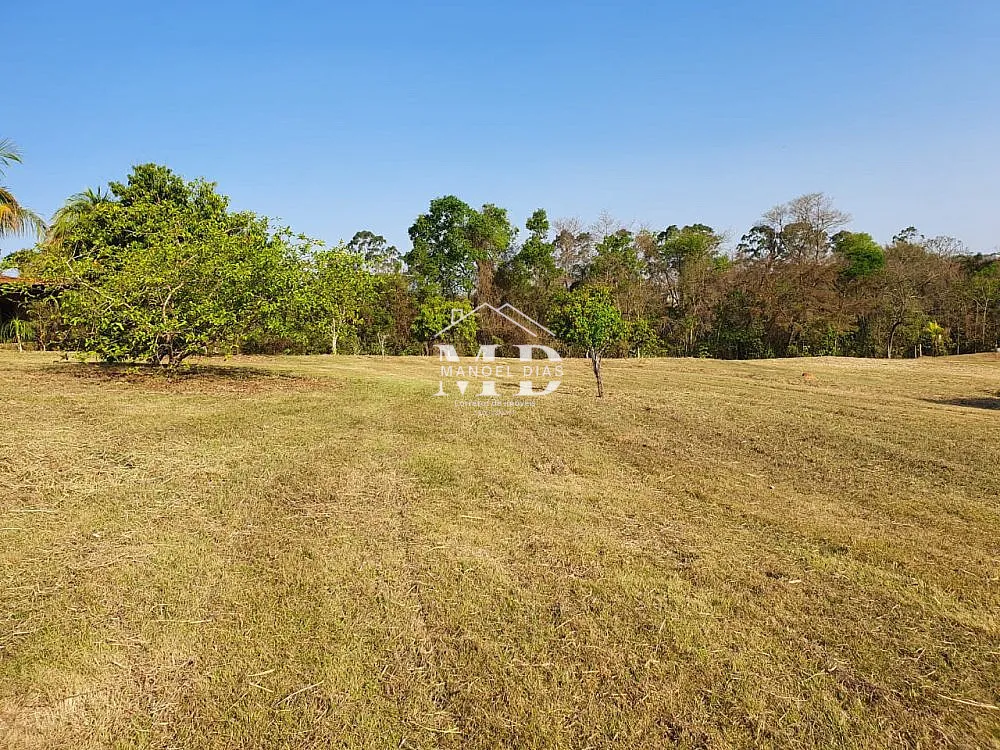 Sítio, 3 hectares - Foto 10