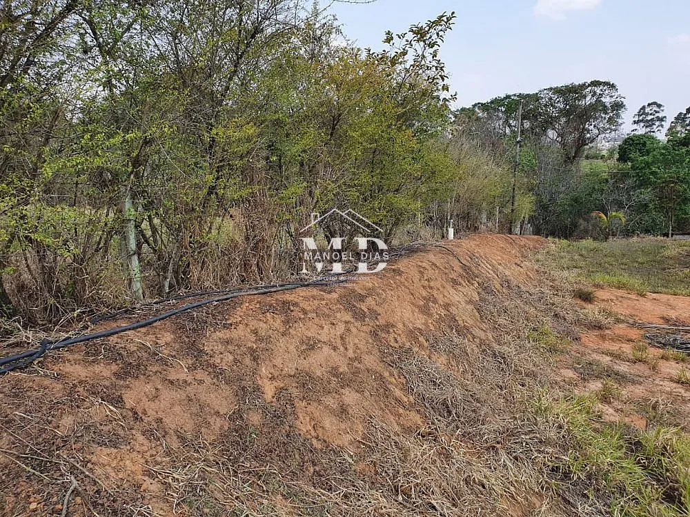 Sítio, 3 hectares - Foto 14