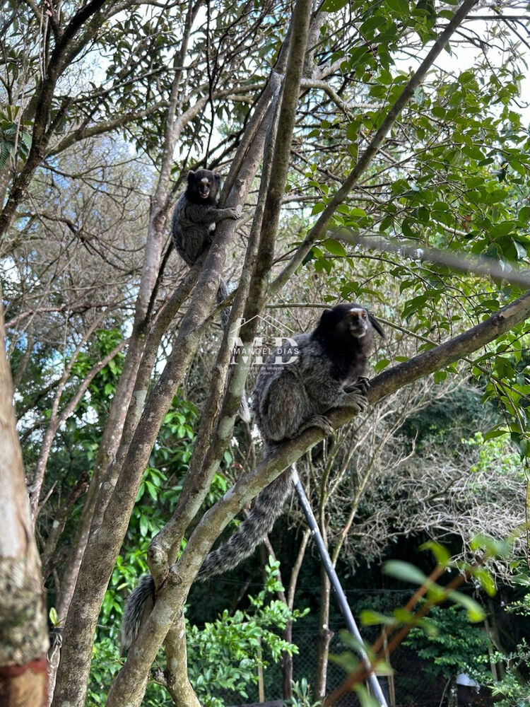 Chácara, 2 quartos, 1000 m² - Foto 3
