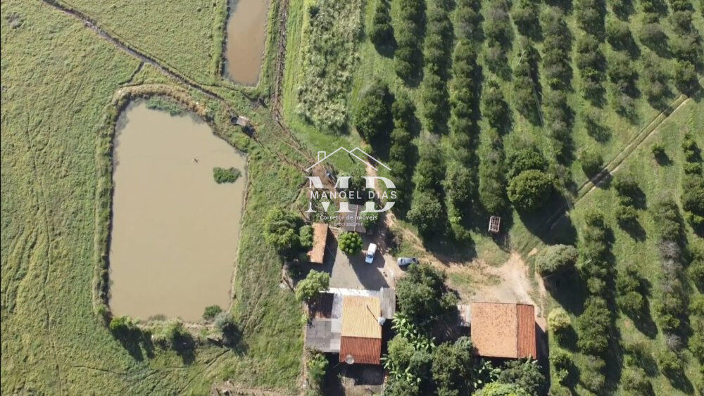 Sítio, 12 hectares - Foto 5