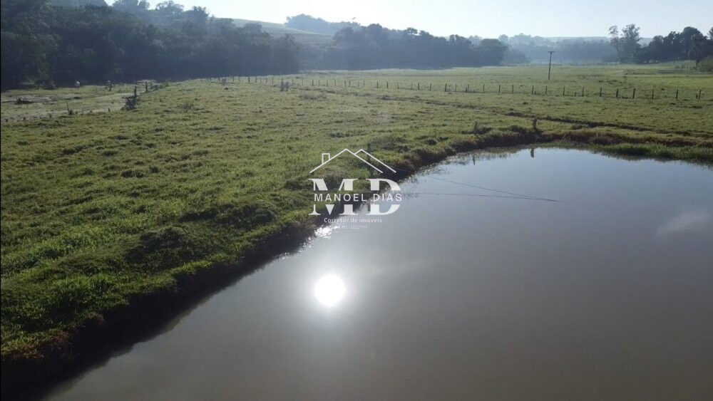 Sítio, 12 hectares - Foto 6