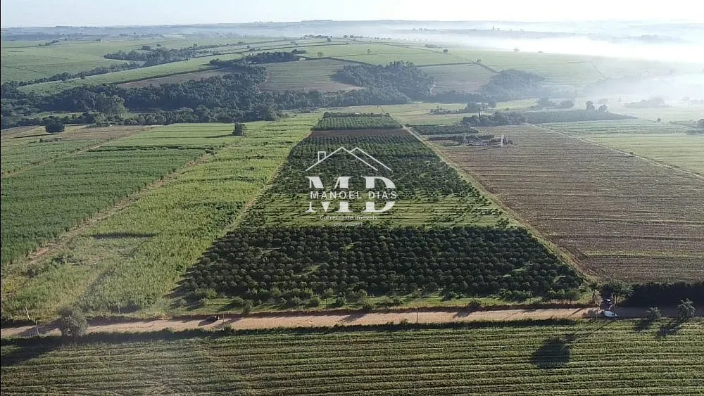 Sítio, 12 hectares - Foto 10
