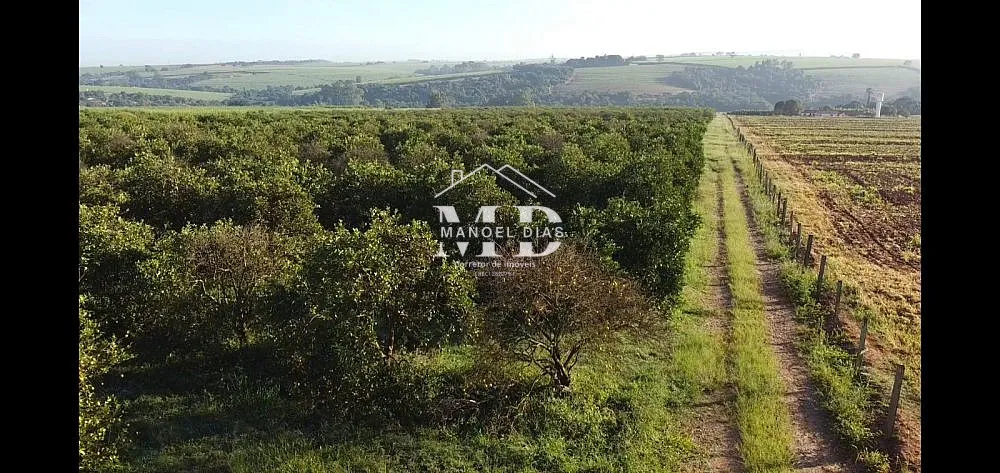 Sítio, 12 hectares - Foto 8