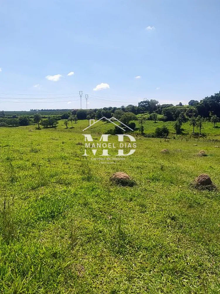 Sítio, 2 hectares - Foto 1